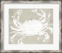 Framed Weathered Crab I