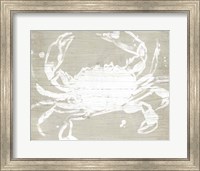 Framed Weathered Crab I