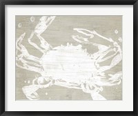Framed Weathered Crab II