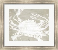Framed Weathered Crab II