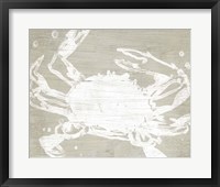 Weathered Crab II Framed Print
