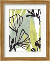 Framed Tropical Collage II