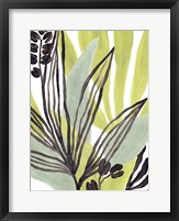 Tropical Collage III Framed Print
