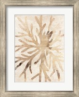 Framed Parchment Coral II