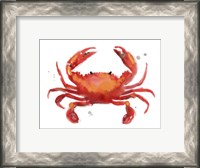 Framed Crab Cameo I