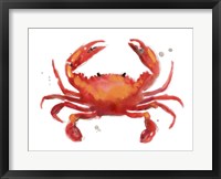 Framed Crab Cameo I
