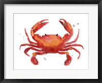 Crab Cameo I Framed Print