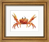 Framed Crab Cameo II