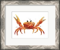 Framed Crab Cameo II