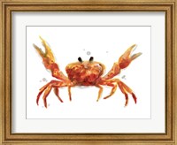 Framed Crab Cameo II