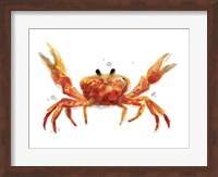 Framed Crab Cameo II