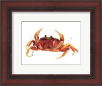 Framed Crab Cameo III