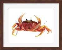 Framed Crab Cameo III