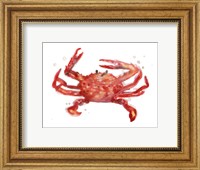 Framed Crab Cameo IV