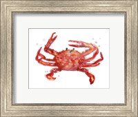 Framed Crab Cameo IV