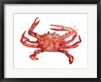 Crab Cameo IV Framed Print