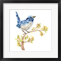 Framed 'Springtime Songbirds I' border=