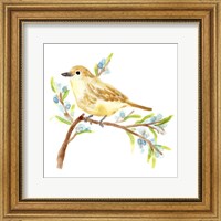 Framed Springtime Songbirds II