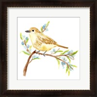 Framed 'Springtime Songbirds II' border=