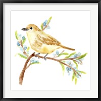 Framed Springtime Songbirds II