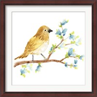 Framed Springtime Songbirds III