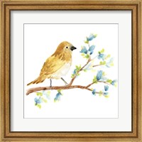 Framed Springtime Songbirds III