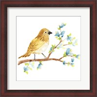 Framed Springtime Songbirds III
