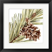 Framed Simple Pine Cone I