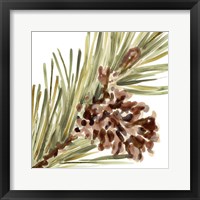 Framed 'Simple Pine Cone I' border=