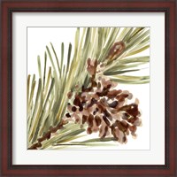 Framed Simple Pine Cone I