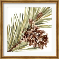 Framed Simple Pine Cone I