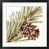 Framed 'Simple Pine Cone I' border=