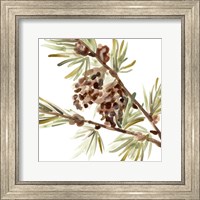 Framed Simple Pine Cone II
