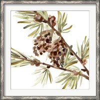 Framed Simple Pine Cone II