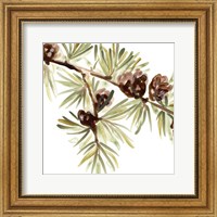 Framed Simple Pine Cone III