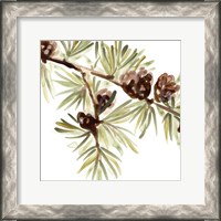 Framed Simple Pine Cone III