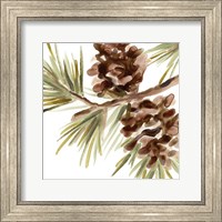 Framed Simple Pine Cone IV