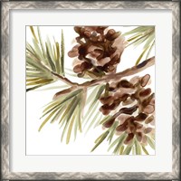 Framed Simple Pine Cone IV