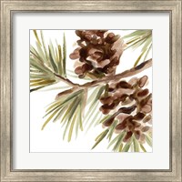 Framed Simple Pine Cone IV