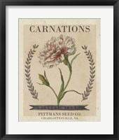 Framed Vintage Seed Packets V