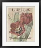 Vintage Seed Packets VI Framed Print