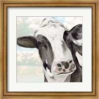 Framed Portrait of a Cow II