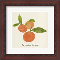 Framed Citrus Trattare II