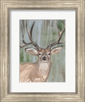 Framed Roaming Buck I