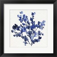 Framed Cobalt Blossom I