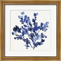 Framed Cobalt Blossom I