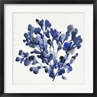 Framed Cobalt Blossom II