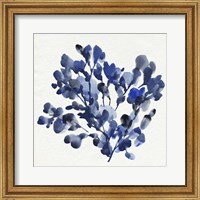 Framed Cobalt Blossom II