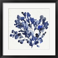 Cobalt Blossom II Framed Print