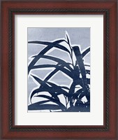 Framed Plant Life II